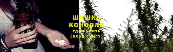 МДМА Бородино