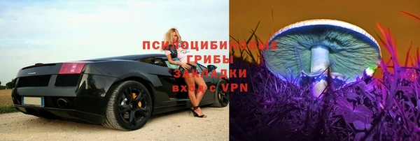 гидропоника Бронницы