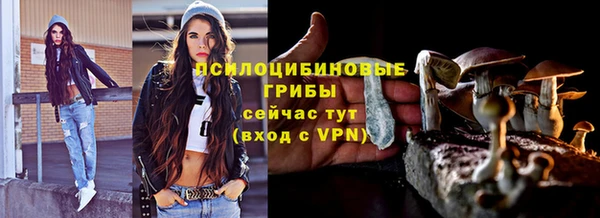 МДМА Бородино