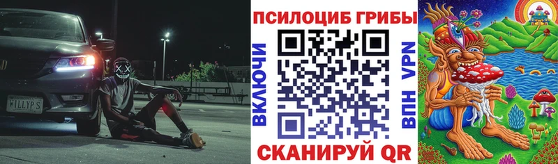 Галлюциногенные грибы MAGIC MUSHROOMS  что такое   Гремячинск 